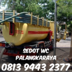 SEDOT WC DI PALANGKARAYA
